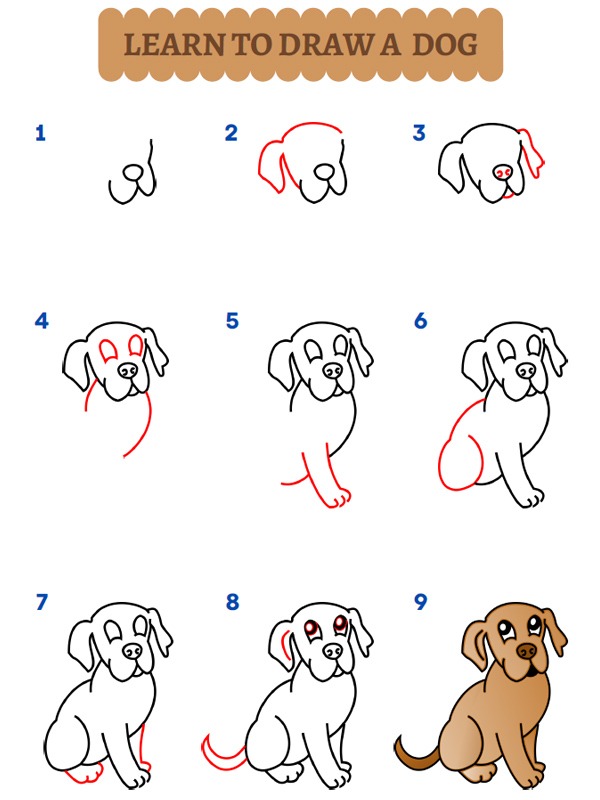 How to draw a dog
