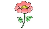 How to draw a flower