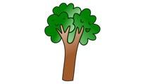 How to draw a tree