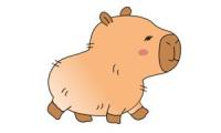 How to draw a capybara