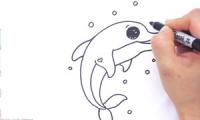 How to draw a dolphin