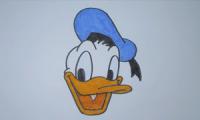 How to draw donald duck?
