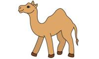 How to draw a camel