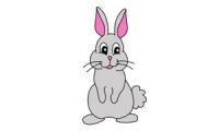 How to Draw a Rabbit