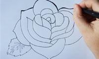 How to draw a rose