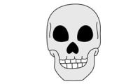 How to draw a skull
