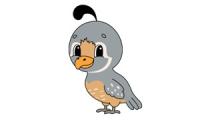 How to draw a bird