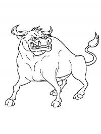 Angry bull