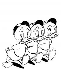 Huey, Dewey, and Louie