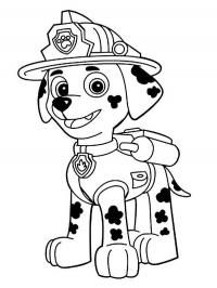 paw patrol marshall