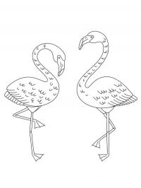 Two Flamingos