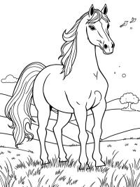 Andalusian horse