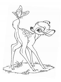 Bambi and Butterfly