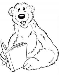 Bear is reading book
