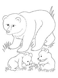 Bear with cubs