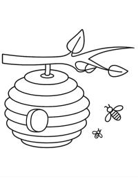 Beehive