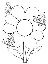 Flower with butterflies
