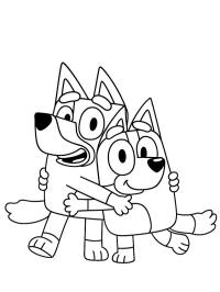 Bluey and Bingo