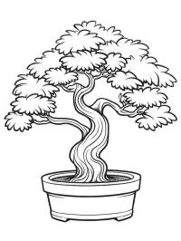 Bonsai tree