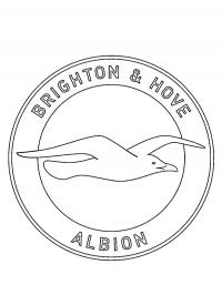 Brighton & Hove Albion FC