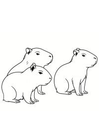 Baby capybaras