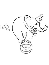 Circus elephant on a ball