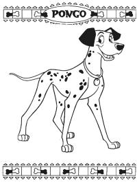 Dalmatian Pongo