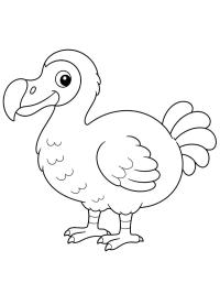 Dodo Bird