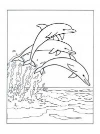 Dolphins jumping at sea