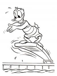 Donald Duck dives