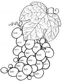 Math with grapes