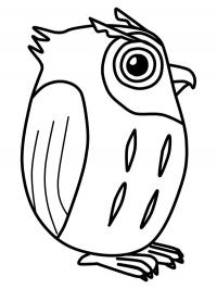 Easy Owl