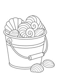 Bucket of Seashells