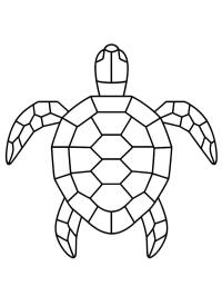 Geometric turtle