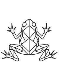 Geometric frog
