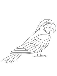 Geometric Parrot