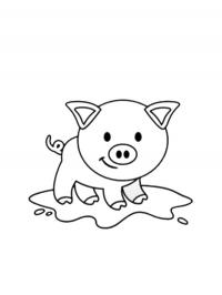Funny hog