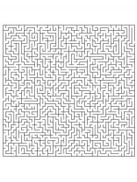 Large maze