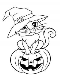 Halloween cat in a witch hat