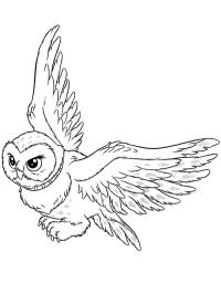 Hedwig the owl (Harry Potter)