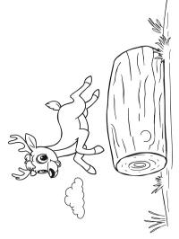 Deer jumping over a log