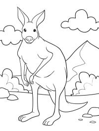 Kangaroo