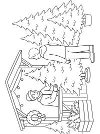 Selling Christmas trees