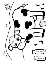 Cow