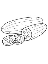 Cucumber