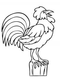 Crowing rooster