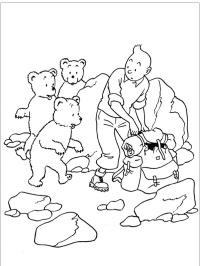 Tintin and the bears