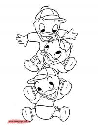 Huey, Dewey, and Louie