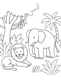 Lion and elephant in the jungle