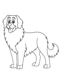 Leonberger